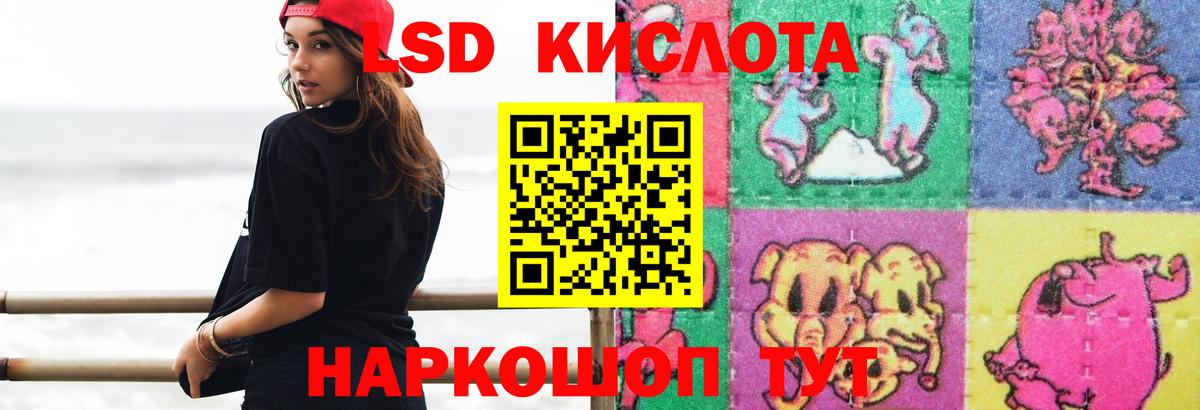 Гашиш Грозный