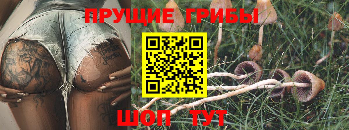 Псилоцибиновые грибы Psilocybe  Вход с VPN  Галлюциногенные грибы Magic Shrooms  Грозный 